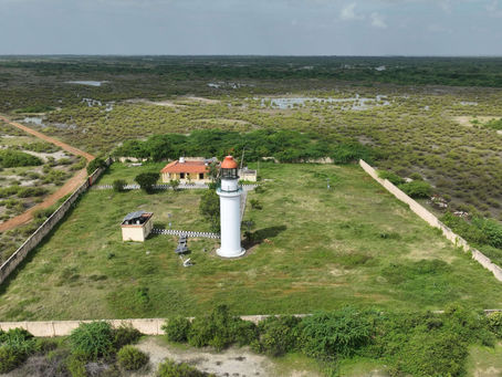 Wading Into a World of Waterbirds: Point Calimere