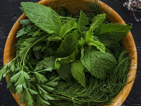 Coriander and Curry Leaves