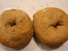 Segale
