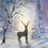 Thumbnail: Tranquil Winter