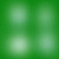 本日コラボ作品リリース！台湾の人気バンド「Night Keepers 守夜人 」のEPにXinUがフィーチャリング参加しました！