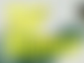 XinUの次のEP制作を目指すクラウドファンディング"XinU ART MARKET"の事前公開はこのあと8日20時から!