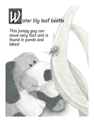 W is for Water Lily Leaf Beetle