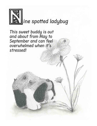 N is for Nine Spotted Ladybug