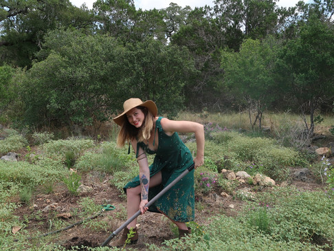 A Brief History of Herbalism & Permaculture