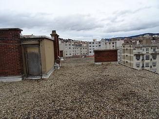 DSC07323.JPG