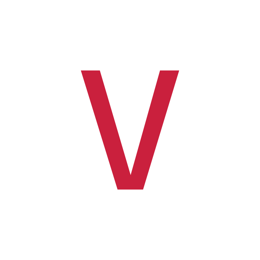 Vancouver Visual Art Foundation logo