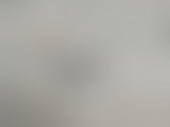 Justice Without Fear or Favor?