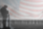 Never in Vain: A Call to Honor Valiant Sacrifice