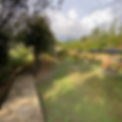 IMG_4416.jpeg