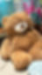 oso 2_edited.jpg