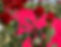 IMG_3169_edited.jpg