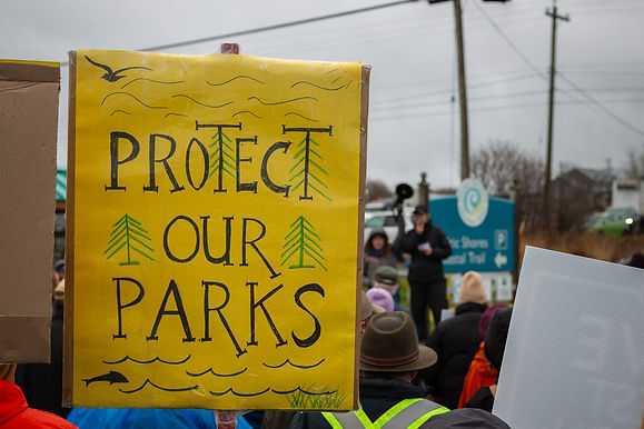 Protect Our Parks by Jesse Winkiewicz.jpeg