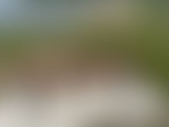 Scratch a Highlander and You'll Find a Rebel