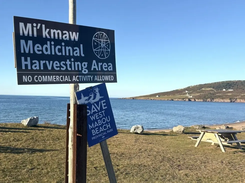 Signs recently posted at West Mabou Beach Provincial Park dissuade any commercial activity on the protected park site near Mabou
