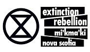 XR NS.jpeg
