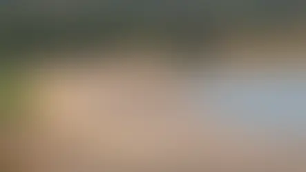 Opposition grows to proposed golf course on West Mabou Beach Provincial Park