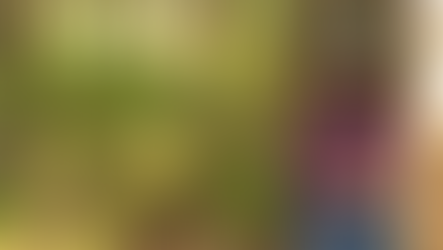 Acadia biologist excited at discovery of rare fern at West Mabou Beach