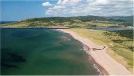 Study says golf course would threaten rare plants, birds at Cape Breton's West Mabou Beach