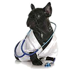 French bulldog in a doctor's uniform