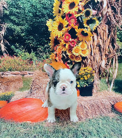 66A78A8D-6A1A-4B98-A8EF-33A42DE09E13