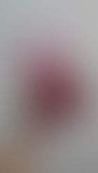 [伴手禮] 物輕情義重的連得堂手工煎餅!