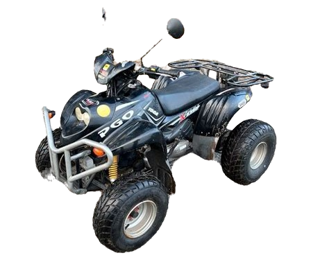PGO X-Rider 300