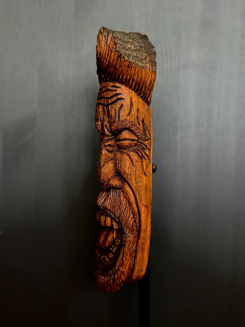 Screaming_into_the_Void_2