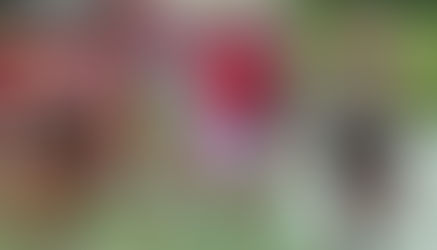 Get Ready for a College Rugby Fair & Combine