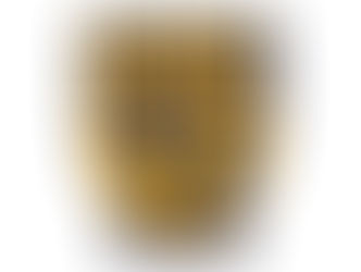 Karen's ability to pivot and provide different programming alternatives has been exceptional!