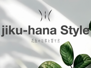 8月からYouTube始めます🌿