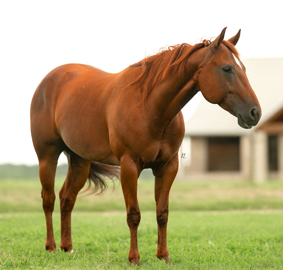 DSC_0442 copy_edited