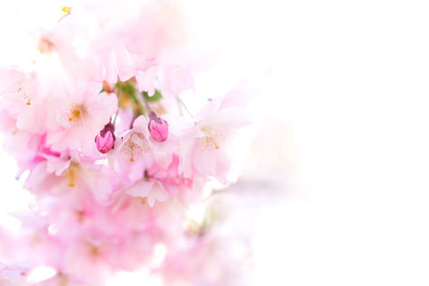 Käytännön vinkkejä sinulle, joka olet juuri saanut rintasyöpädiagnoosin