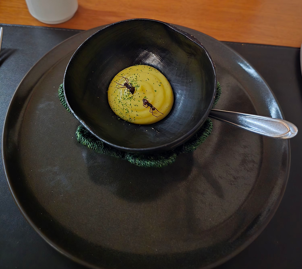 Formiga Saúva com espuma de mandioquinha do Restaurante Banzeiro