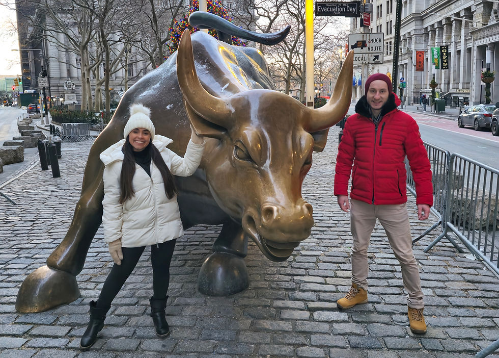 Touro de Wall Street