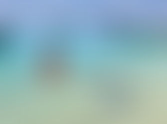 Fulidhoo, a ilha de refúgio das Arraias Chicote Rosa e dos Tubarões Lixa