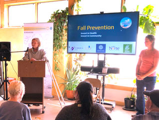 Dixon Fall Prevention