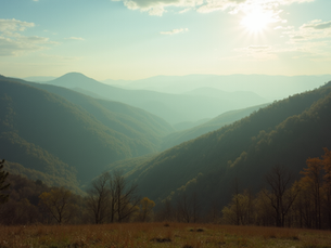 Your Guide to Buying a Home in Asheville Area
