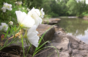 Blue River is beautiful