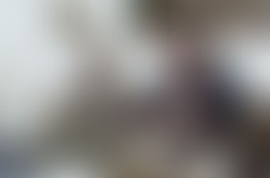 【見せる会社】であることが、これからの採用を変える