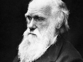 50 melhores frases de Charles Darwin sobre a vida 