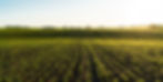 Marketing no Agronegócio: 60 posts para instagram Agro