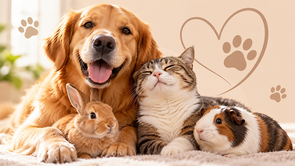 Cão golden sorridente abraça gato, coelho e porquinho-da-índia em ambiente claro, com corações e pegadas de pata.
