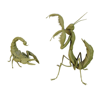 Scorpion vs. Mantis