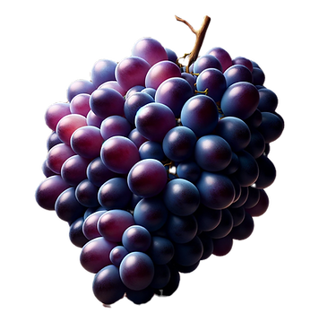 DALL·E 2024-01-19 19.13.55 - Create a hyper-realistic image of a bunch of grapes with a ve