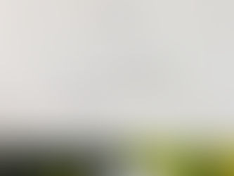 商品紹介【薬用トリニティーホワイト】(歯磨きジェル)