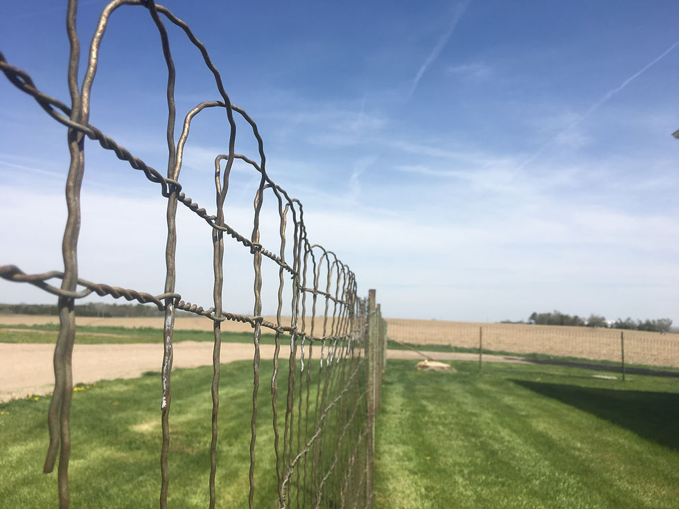 Fence line