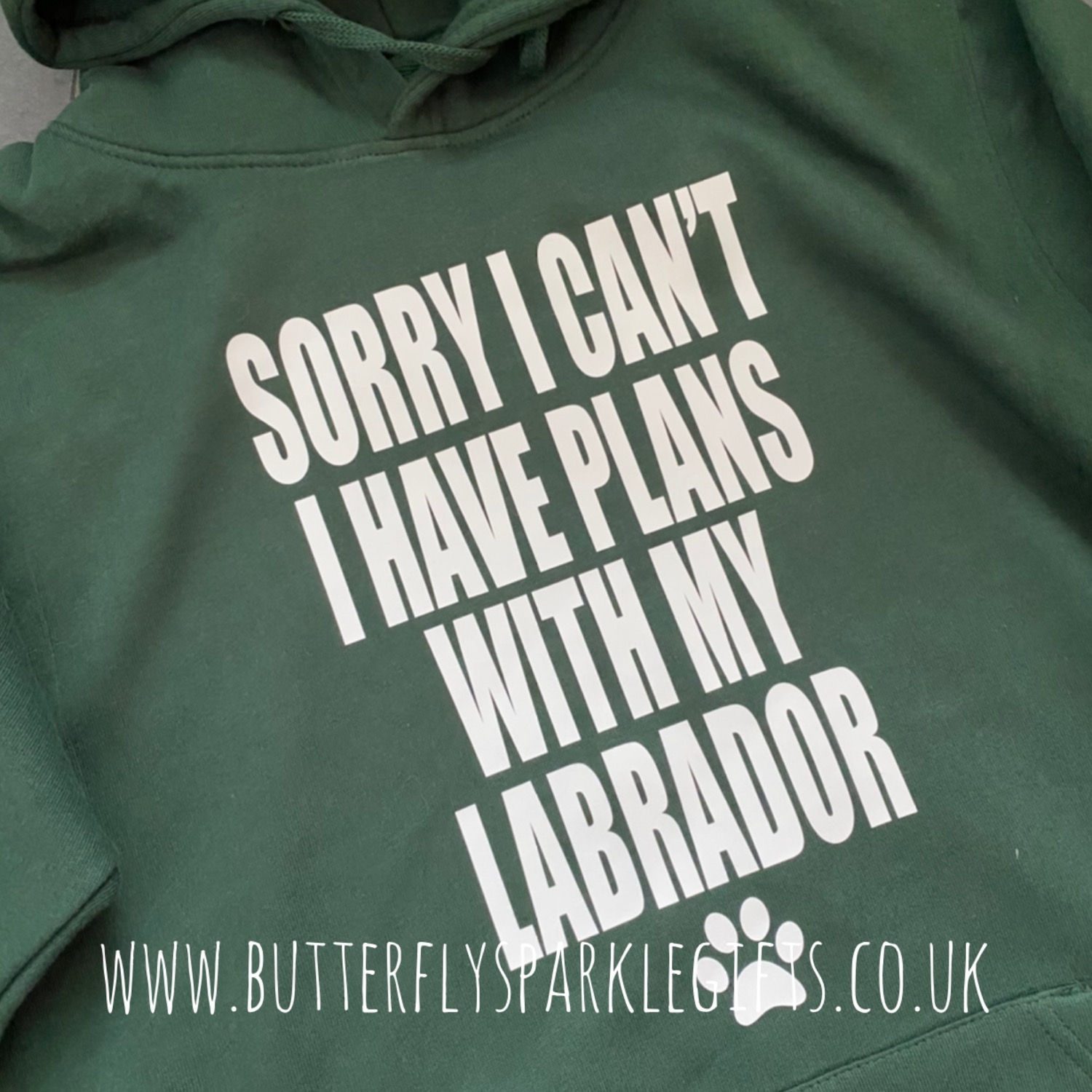 Plans With Pets Hoodie