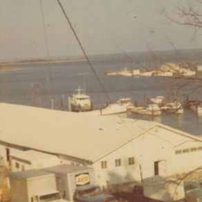 Recent Accessions: Waterview Packing Company Photo Archive