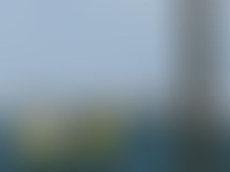 Expressions of Interest: Graduate and Early-Career Coastal Engineers